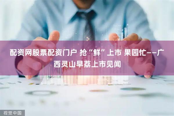 配资网股票配资门户 抢“鲜”上市 果园忙——广西灵山早荔上市见闻