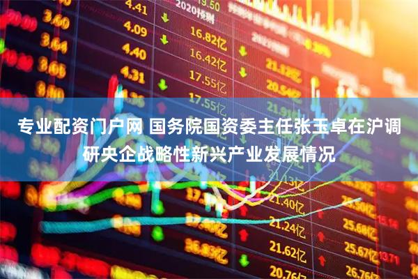 专业配资门户网 国务院国资委主任张玉卓在沪调研央企战略性新兴产业发展情况